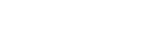 Revenue